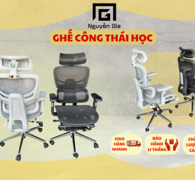 ghế công thái học 909